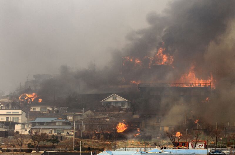 The wildfire was sweeping through vast parts of the country's eastern coastal region.