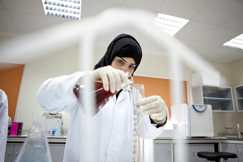 United Arab Emirates, Madinat Zayed, April 11, 2012:   Higher Colleges of Technology second-year medical lab technology major, Salwa al Hamadi, 23, works during her health science lab class on Wednesday, April 11, 2012.  (Silvia Razgova / The National)