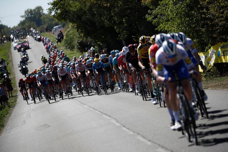 The peloton during Stage 11. Reuters