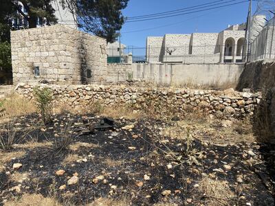 The centre's agriculture terraces were burnt as a result of the smoke projectiles. Photo by Aline Khoury