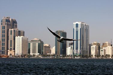 A view of Buhaira Corniche in Sharjah. Sharjah's economy is projected to grow 2.3 per cent in 2019 and 2.5 per cent in 2020, S&P says.  Pawan Singh / The National