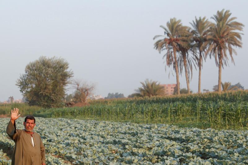 A farmer waves at his cabbage field while Egypt celebrates Farmers Day, amid concerns over the coronavirus disease, near Sharqia, along the agricultural road which leads to Cairo, Egypt. Reuters