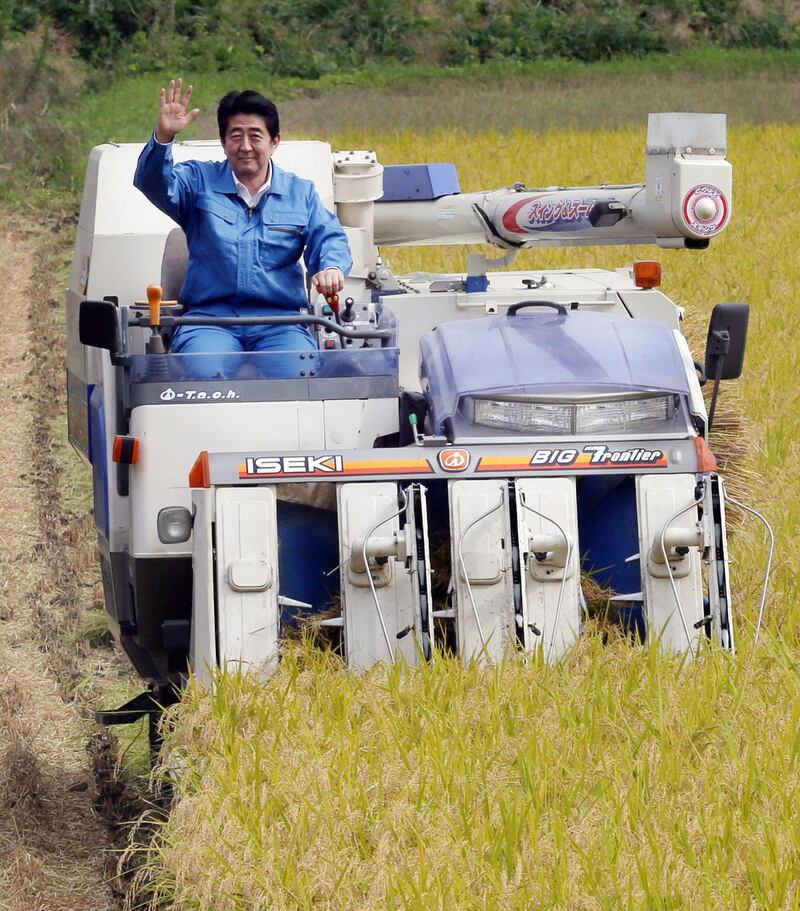 This file photo taken on September 17, 2014 shows Japanese Prime Minister Shinzo Abe driving a combine harvester to crop rice plants in the town of Hirono in Fukushima prefecture. AFP