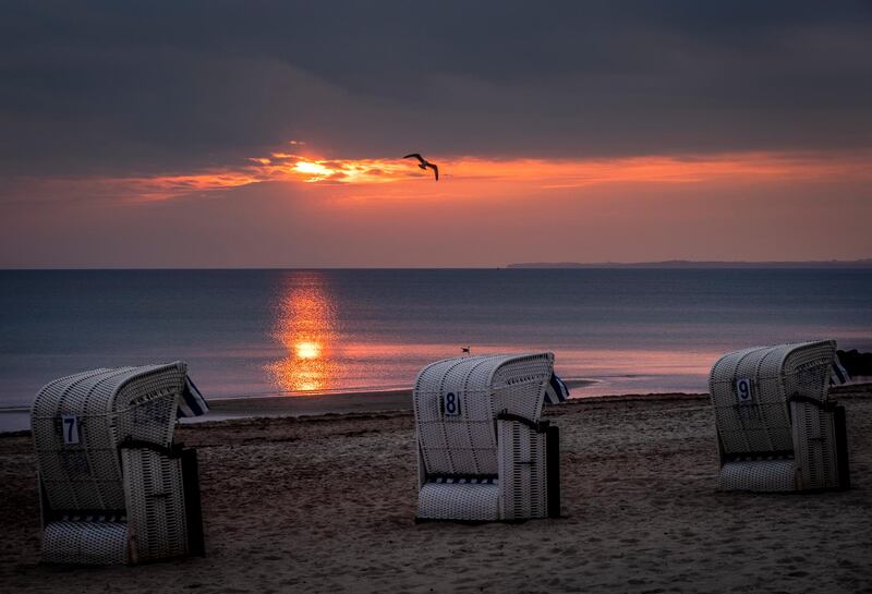 A seagull flies over beach chairs at the Baltic see in Timmendorfer Strand, northern Germany. To avoid the outspread of the Coronavirus all accommodations for tourists are closed, only day trippers are allowed. AP Photo