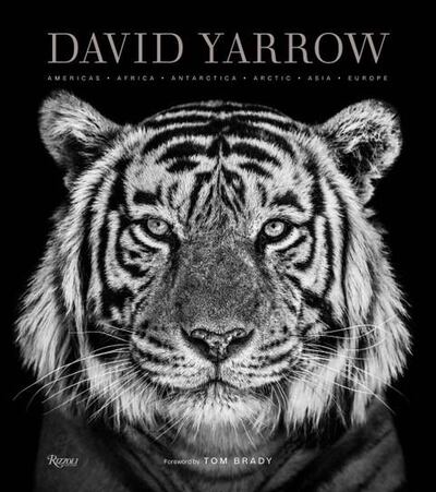 David Yarrow has just released his first photographic monograph in three years. Courtesy David Yarrow