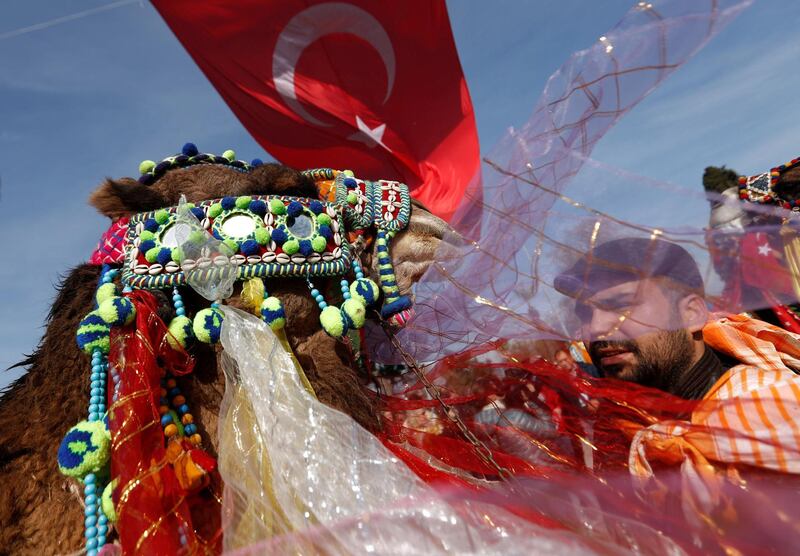 A decorated camel is shown to spectators by its owner. Reuters
