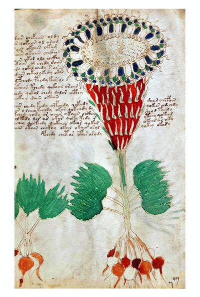 The Voynich Manuscript is considered by scholars to be most interesting and mysterious document ever found. Dated 16th century. (Photo by: Photo12/Universal Images Group via Getty Images)