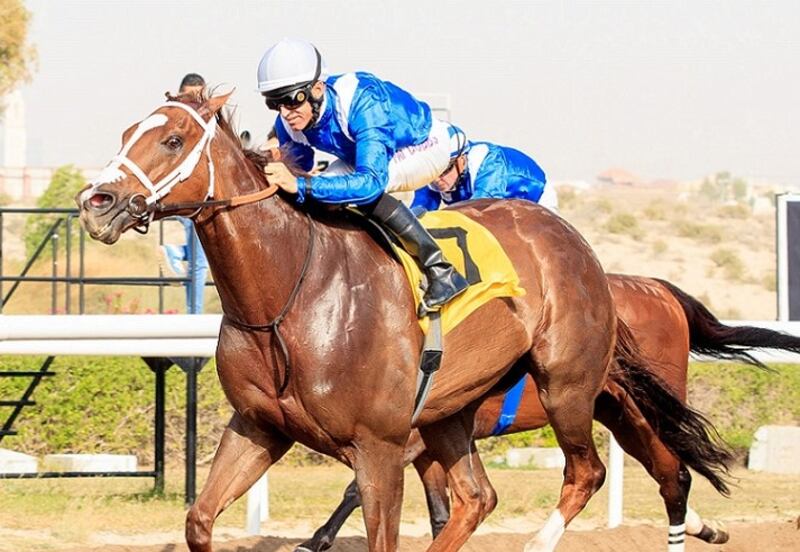 Pat Dobbs on Khuzaam wins the Listed Jebel Ali Sprint at Jebel Ali. Photo: DHRIC