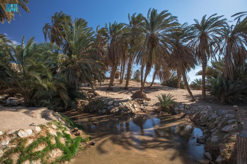 Wadi Tayyib Asm, in the Tabuk region, has benefited from a project launched by the Saudi Tourism Authority in June. SPA