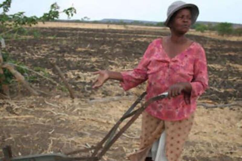 Ntombizodwa Moyo tills the seedless soil on her farm outside of Bulawayo, Zimbabwe.