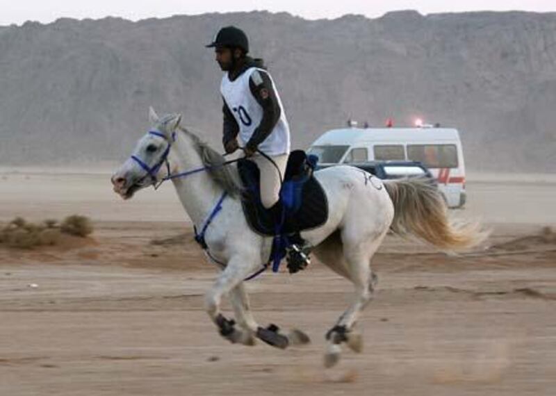A jockey competes with his horse in the Wadi Rum International Endurance Ride in the Jordanian desert on November 14, 2008. Dubai ruler Sheikh Mohammed bin Rashed al-Maktoum, who is also Emirati vice president and prime minister, won the 120-km race. AFP PHOTO/AWAD AWAD *** Local Caption ***  707729-01-08.jpg