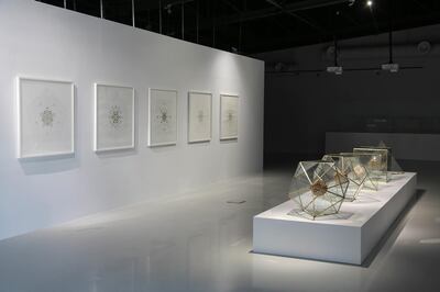 Installation view of Dana Awartani's The Silence Between Us, currently showing in Sharjah. Courtesy Maraya Art Centre