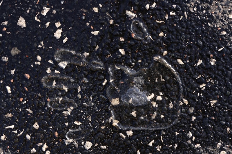 A handprint of glue left behind by an activist from the group Last Generation (Letzte Generation), after they were removed by police, is visible on the asphalt following a blockade at an intersection in Berlin, Germany, in September. Last Generation is continuing its disruptive protests in an effort to put pressure on politicians to stop the burning of fossil fuels. Getty Images