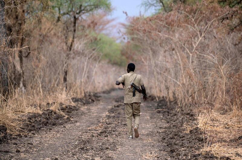 An armed ranger on foot patrol in Dinder National Park, Sudan. AFP