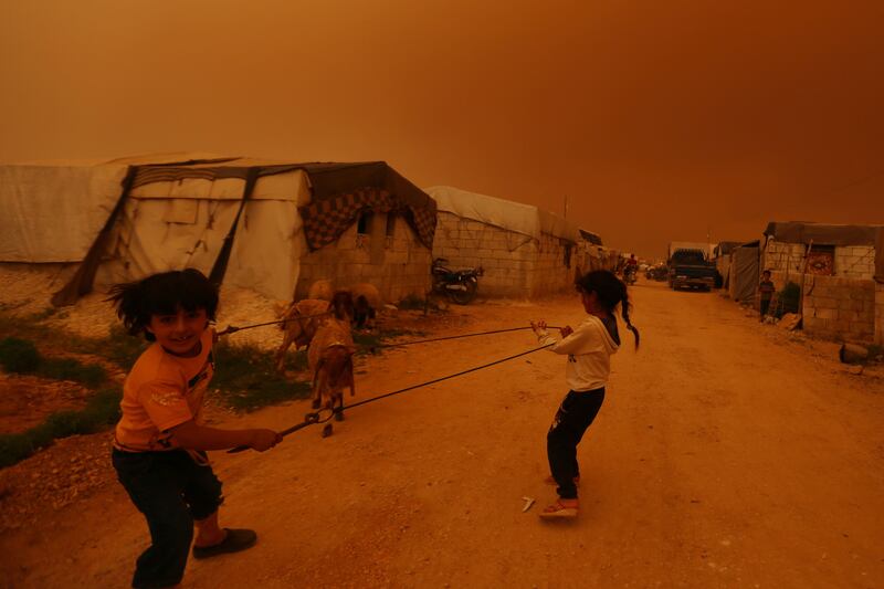 Displaced children play with goats during the dust storm in Dana.