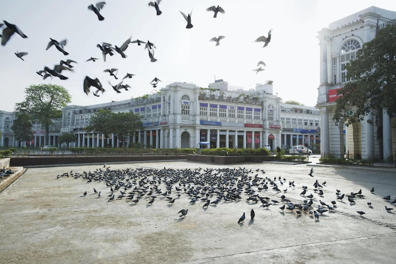 A flock of pigeons in shopping hub Connaught Place in Delhi. Getty