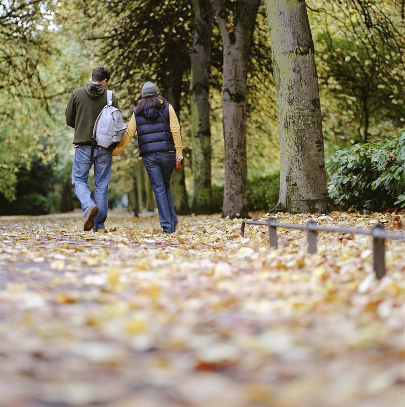 Ireland, Dublin, couple walking in St Stephen's Green, rear view. Getty Images