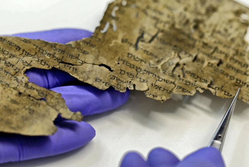 A conservator of the Israel Antiquities Authority (IAA) shows fragments of the Dead Sea Scrolls at their laboratory in Jerusalem on June 2, 2020. - DNA research on the Dead Sea Scrolls has revealed not all of the ancient manuscripts came from the desert landscape where they were discovered, according to a study published today. Numbering around 900, the manuscripts were found between 1947 and 1956 in the Qumran caves above the Dead Sea in the West Bank. The parchment and papyrus scrolls contain Hebrew, Greek and Aramaic and include some of the earliest-known texts from the Bible, including the oldest surviving copy of the Ten Commandments. Research on the texts has been ongoing for decades and in the latest study, DNA tests on manuscript fragments indicate that some were not originally from the area around the caves. (Photo by MENAHEM KAHANA / AFP)