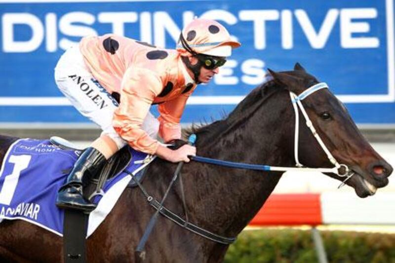 Black Caviar rode to yet another win in Australia. Mark Dadswell / Getty Images