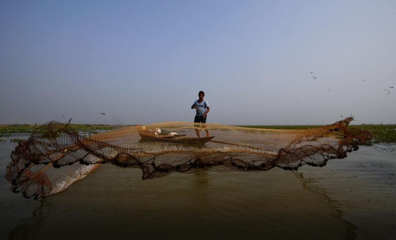 An Indian fisherman fishes with a traditional net at the Mangalajodi bird sanctuary around 65km south of Bhubaneswar. The Mangalajodi wetland, located on the west side of Chilka lake, is a popular area for spotting migratory birds along with native bird species.  AFP