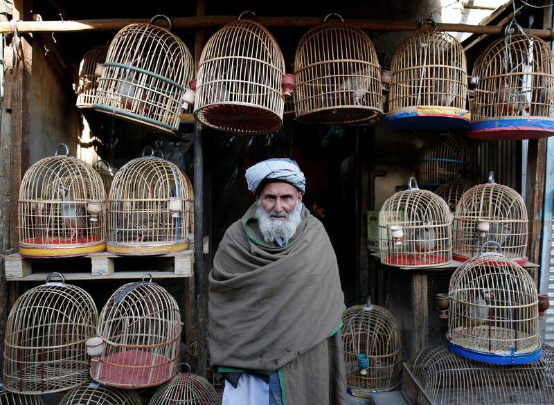 An Afghan man looks on as he stands at a bird market in Kabul. Mohammad Ismail / Reuters