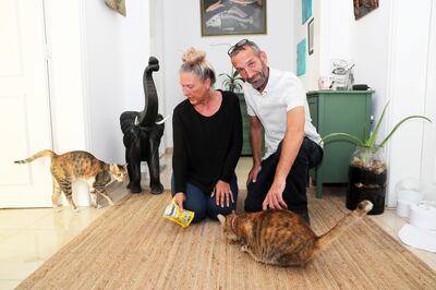 Jacqueline Appleby and her husband David with their cats at their villa in Abu Dhabi. Pawan Singh / The National