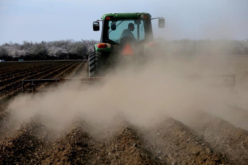 A tractor plows a field where almond trees have once been planted to. Justin Sullivan / Getty Images / AFP