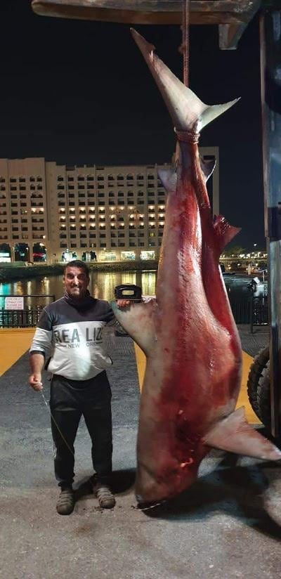 Eid Suleiman, pictured with the Bull shark. Courtesy: Eid Suleiman