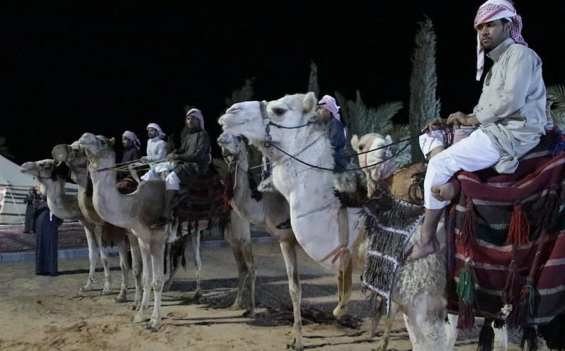 Members of the Al Faqeer tribe await their visitors on camels. Suhail Rather / The National