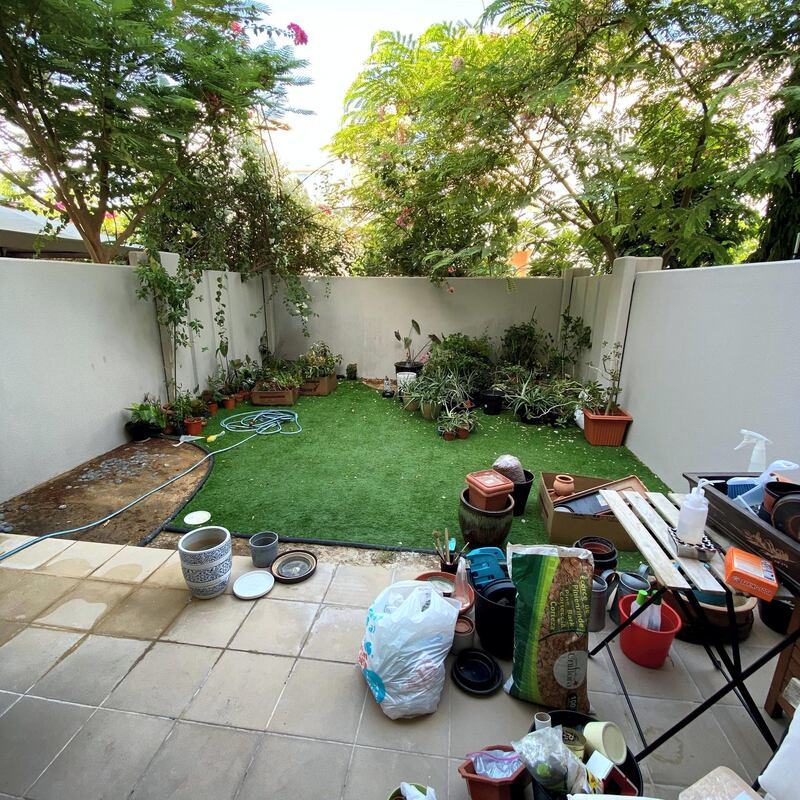 In the process of transforming his backyard