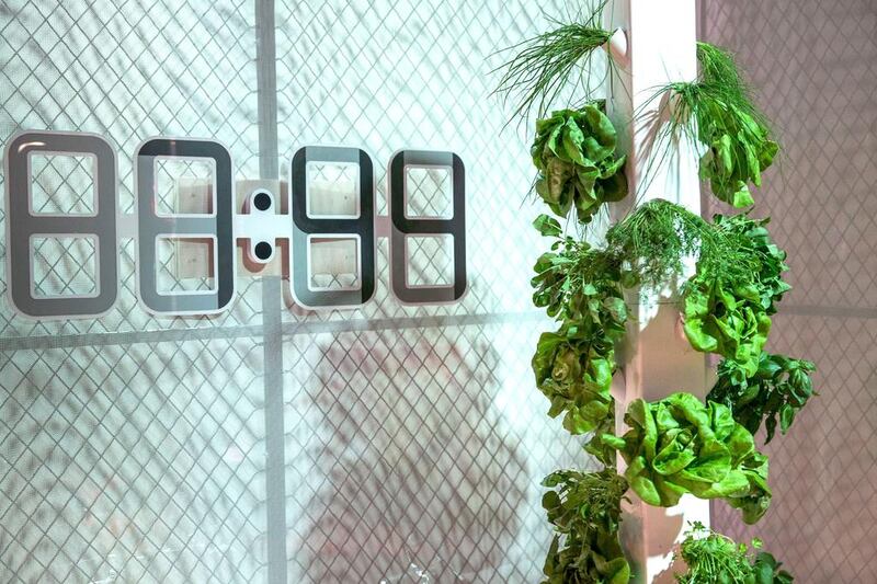 A vertical garden tower for growing vegetables indoors at Gizmodo’s Home of the Future, a pop-up apartment that displays the latest in innovation, design and technology. The apartment will be viewable to New Yorkers from May 17 to 21, 2014. Andrew Burton / Getty Images / AFP
