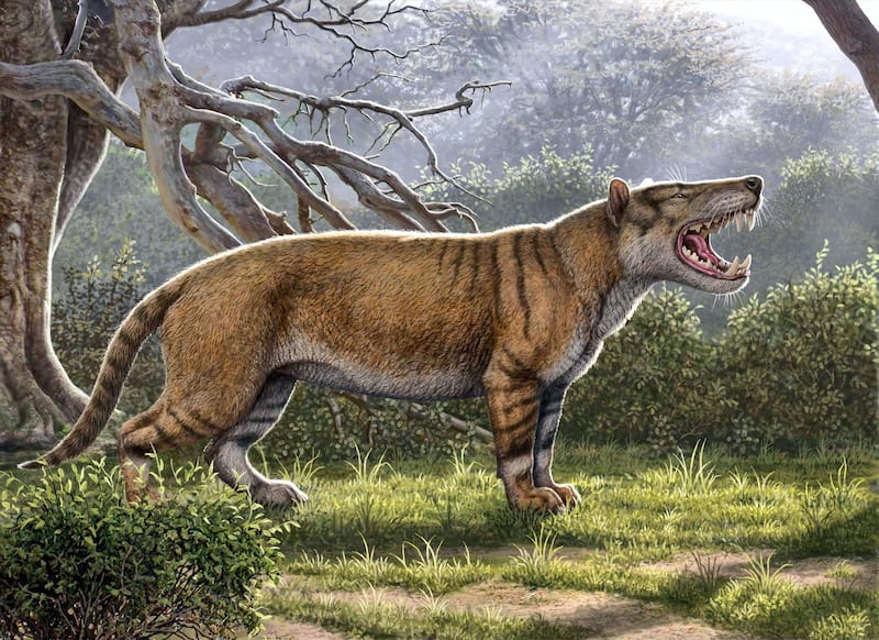 This handout reconstruction image released on April 18, 2019 by Ohio university in Athens, Ohio, shows a Simbakubwa kutokaafrika, a gigantic mammalian carnivore that lived 22 million years ago in Africa and was larger than a polar bear. (Photo by Mauricio ANTON / ohio university / AFP) / RESTRICTED TO EDITORIAL USE - MANDATORY CREDIT "AFP PHOTO / OHIO UNIVERSITY / MAURICIO ANTON" - NO MARKETING - NO ADVERTISING CAMPAIGNS - DISTRIBUTED AS A SERVICE TO CLIENTS