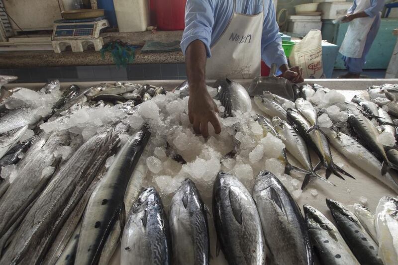 A day’s catch at Fujairah Fish Market, but overfishing has led to a massive depletion of stocks in the Arabian Gulf, and around the world, with 85 per cent of global fisheries over-exploited. Mona Al Marzooqi / The National 