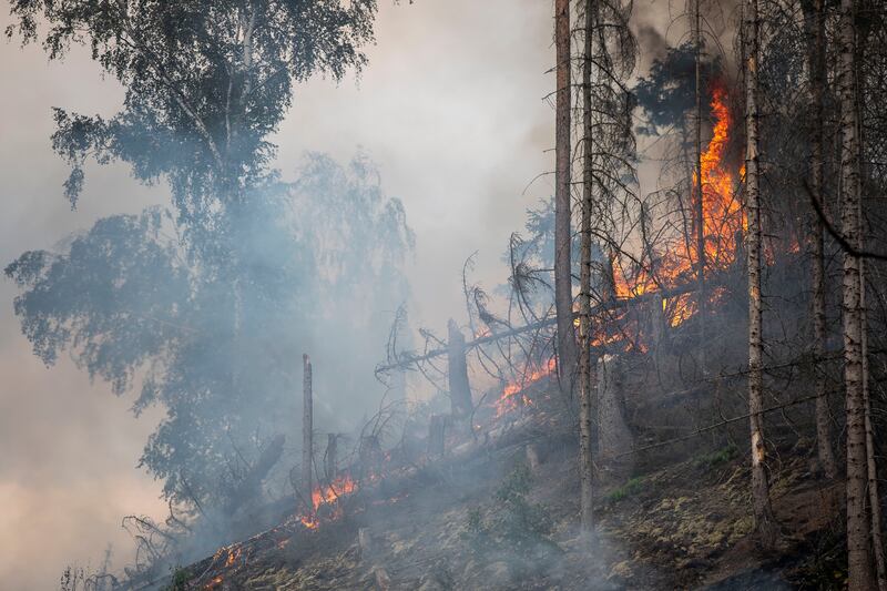 Fire burns on a hillside in Hrensko, Czech Republic. Getty Images