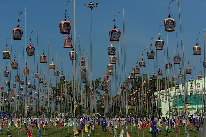 Birds sit in their cages during the competition. AFP