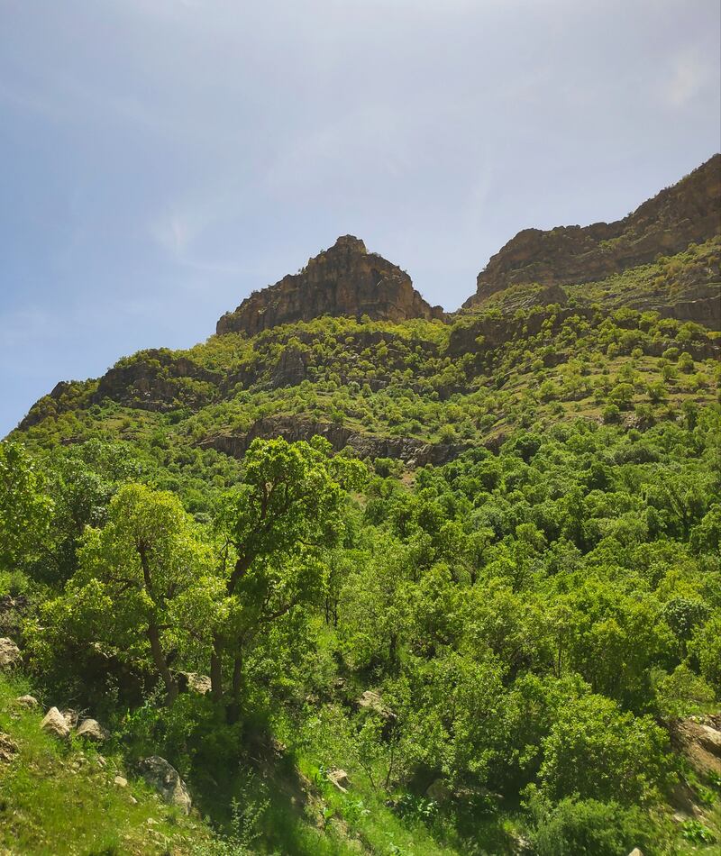 Qaradagh protected area. Photo: Korsh Ararat