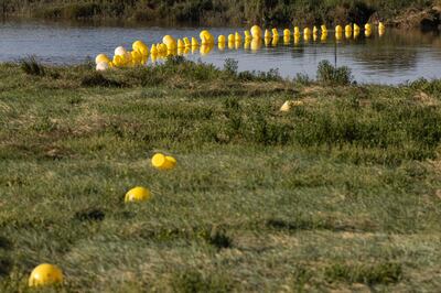 The buoys are meant to prevent migrant boats from from reaching the English Channel. AFP