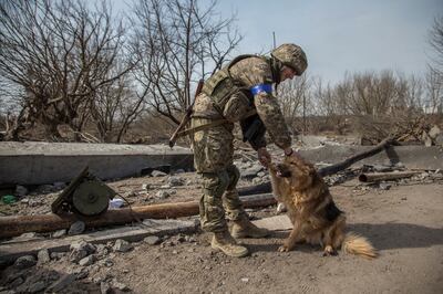 A Ukrainian service member plays with a dog, as Russia's attack on Ukraine continues, in the town of Irpin, outside Kyiv, on March 28. Reuters