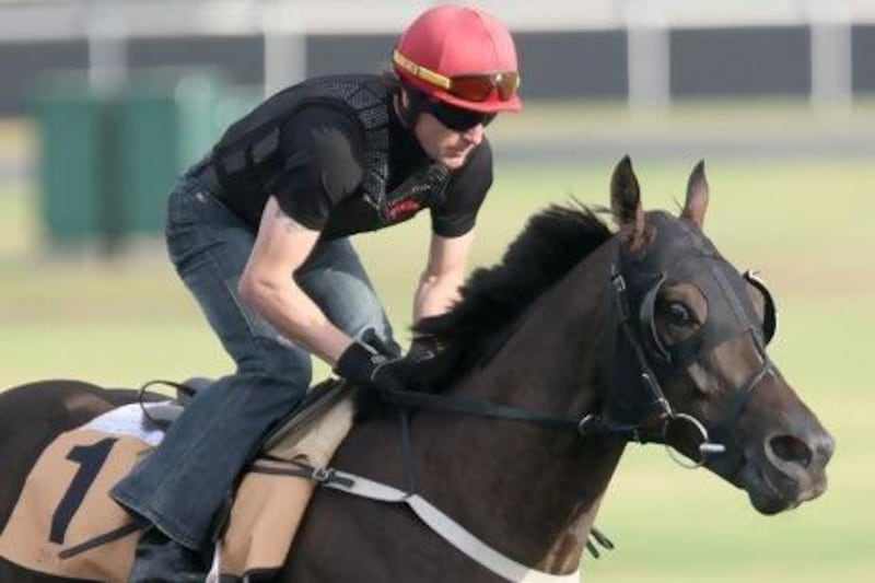 Krypton Factor during a training session at the Meydan Racecourse in Dubai. Jaime Puebla / The National