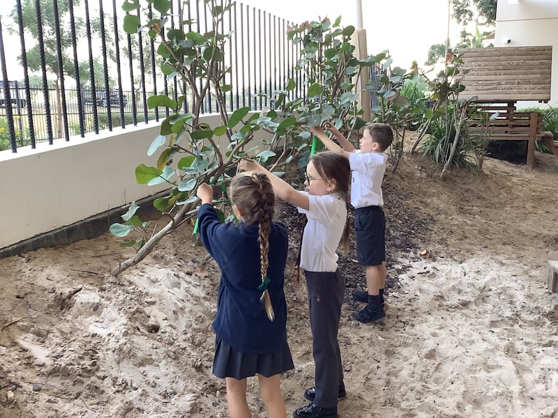 The Royal Grammar School Guildford Dubai has made a pledge to eliminate all single-use plastic in the school by the end of 2023. Photo: The Royal Grammar School Guildford Dubai