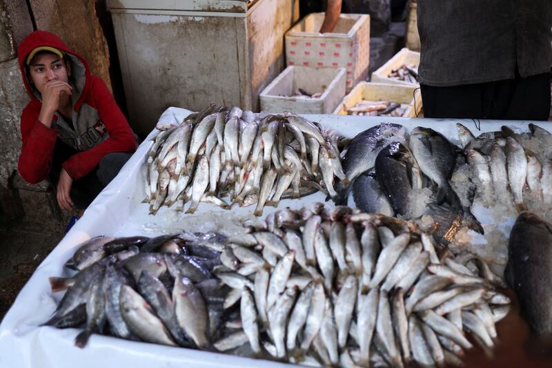 An Iraqi vendor shows different kinds of fish to customers at fish market at in Najaf, Iraq November 30, 2022.  REUTERS / Alaa Al-Marjani