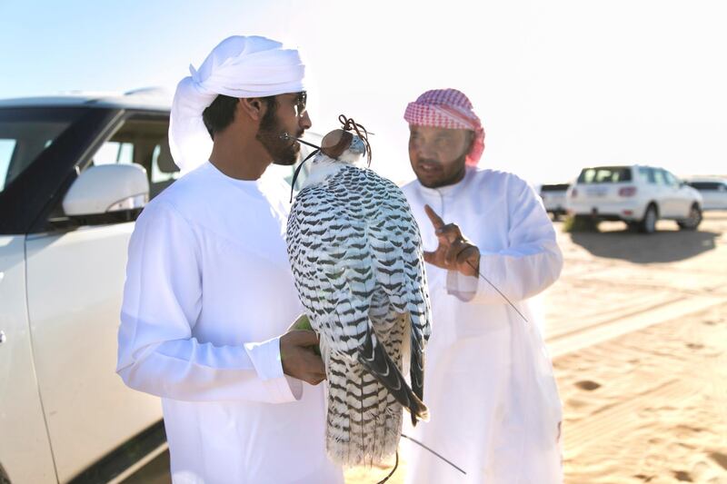 ABU DHABI, UNITED ARAB EMIRATES - DEC 6, 2017

26 year old falconer, Rashed Mubarak Al Mansour, from Al Gharbiya, taking part in the Habara hunting trip at the fourth International Festival of Falconry. 

Karl is one of the original 27 falconers that were in Abu Dhabi in 1976 to receive Sheikh Zayed's invitation to falconers from around the world to convene in the desert of Abu Dhabi and build a strategy for the sport’s development.

(Photo by Reem Mohammed/The National)

Reporter: Anna Zacharias
Section: NA