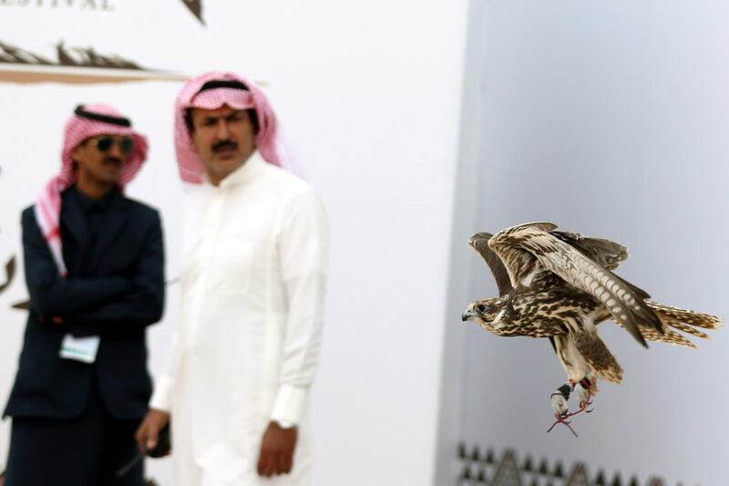 Saudi men look at the falcon as it flies during the King Abdulaziz Falconry Festival in Riyadh, Saudi Arabia. Reuters