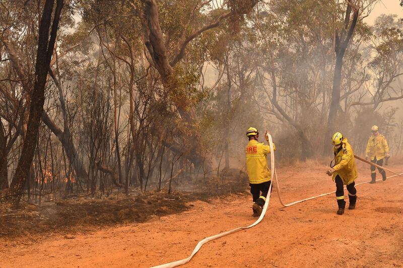 New South Wales Rural Fire Service and Fire and Rescue NSW crews work to contain the Gospers Mountain fire in the Blue Mountains National Park, north west of Sydney.  EPA