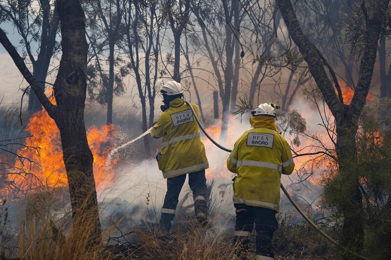 Firemen put out bushfire flames in Red Gully, Western Australia. Reuters