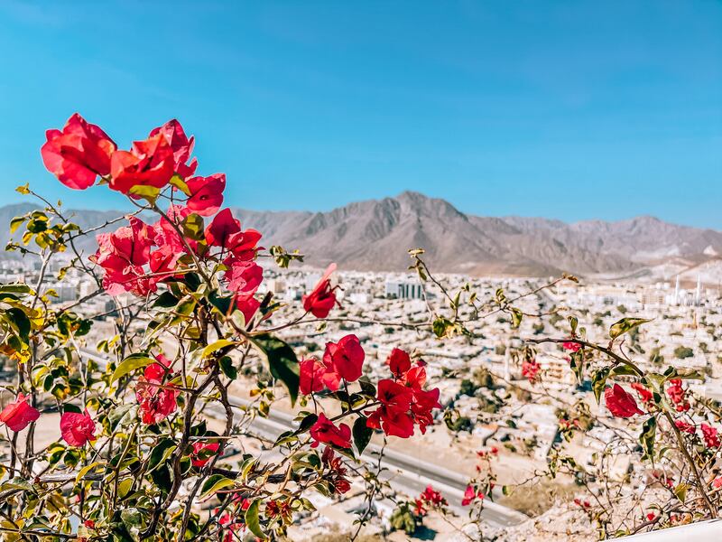 UAE tour guides share their favourite spots in the country for a spot of adventure and fun. All photos: Nada Badran