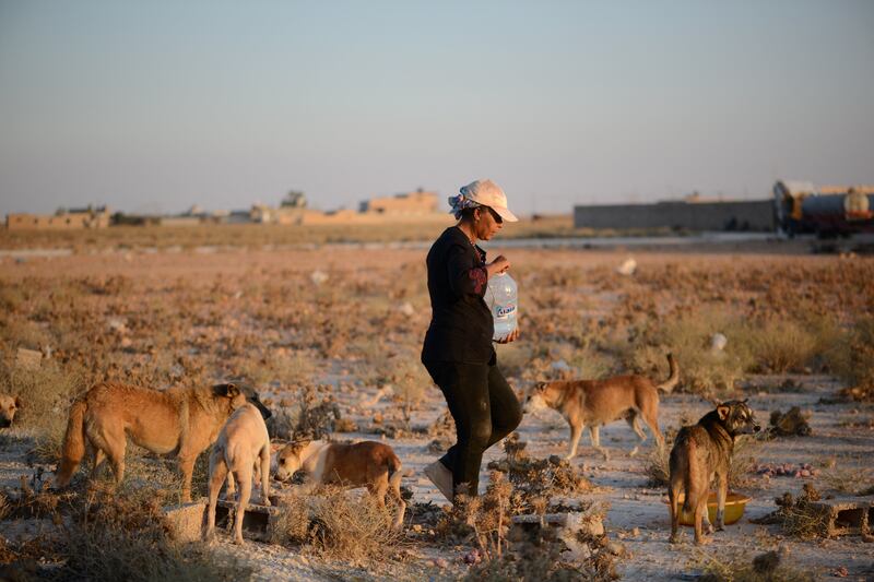 Ibtisam bin Omran, 52, who rents a dog shelter and runs the Libyan Society for the Welfare of Street Animals along with her sister, gives water to stray dogs at the shelter in Benghazi.