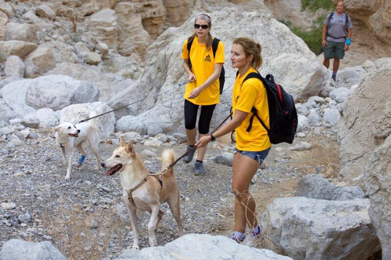 The seventh Human and K9 Ultimate Challenge is taking place on Friday, January 31 at Jebel Jais, Ras Al Khaimah. Courtesy HK9