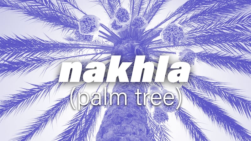 Nakhla translates to palm tree in English
