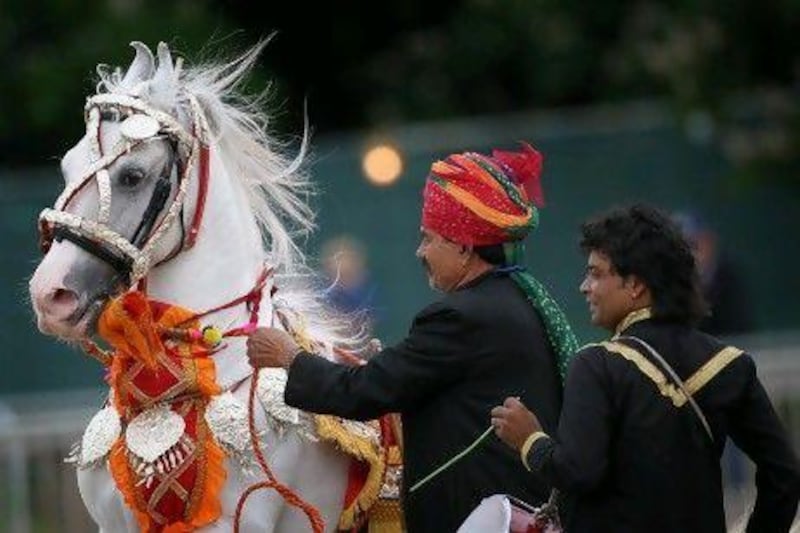 India's dancing Marwari horses perform at the Royal Windsor Horse Show.